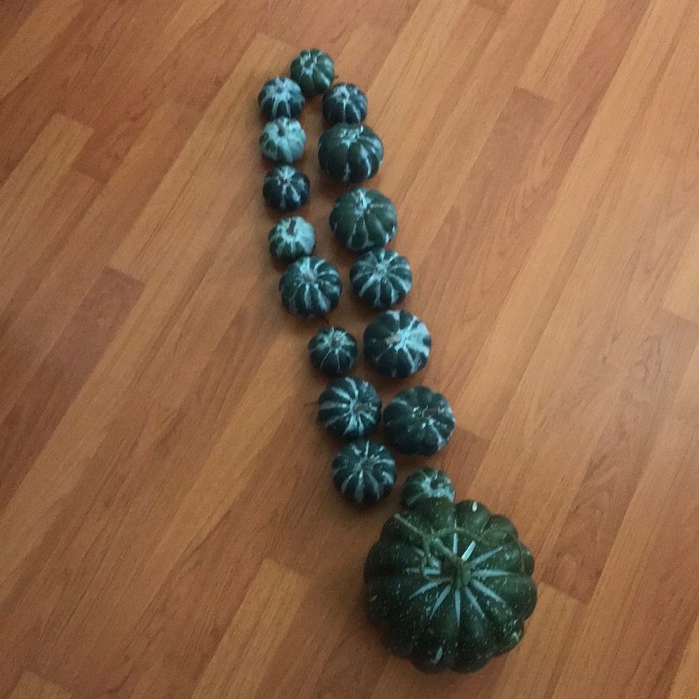 Fall decoration pumpkins/ crafting